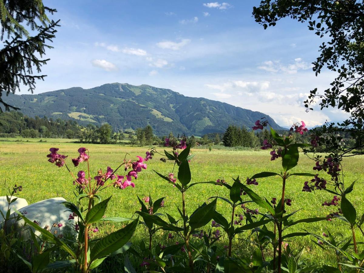 Pension Erlhof Saalfelden am Steinernen Meer Kültér fotó