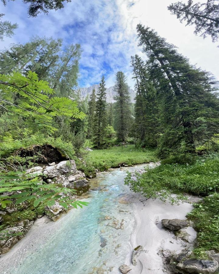 Pension Erlhof Saalfelden am Steinernen Meer Kültér fotó
