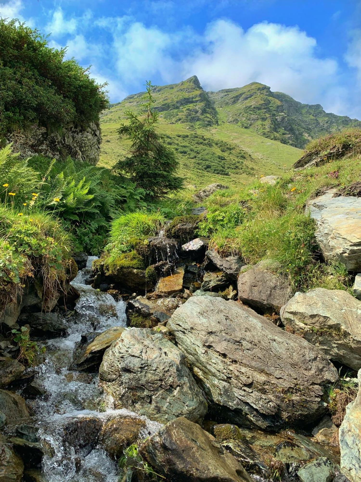 Pension Erlhof Saalfelden am Steinernen Meer Kültér fotó