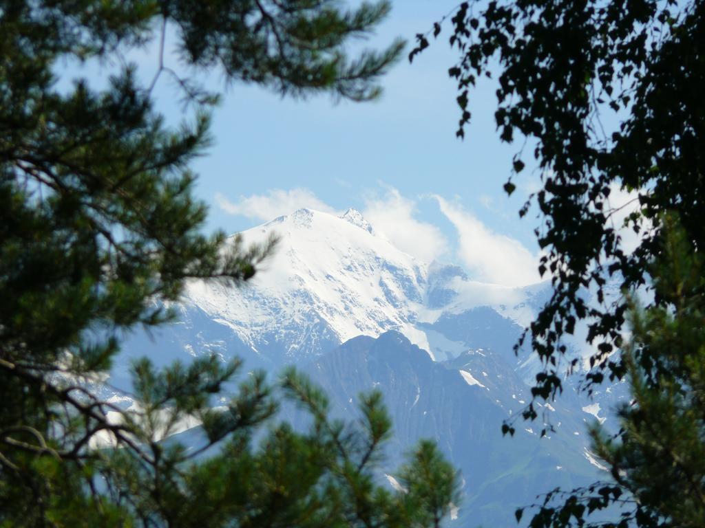 Pension Erlhof Saalfelden am Steinernen Meer Szoba fotó